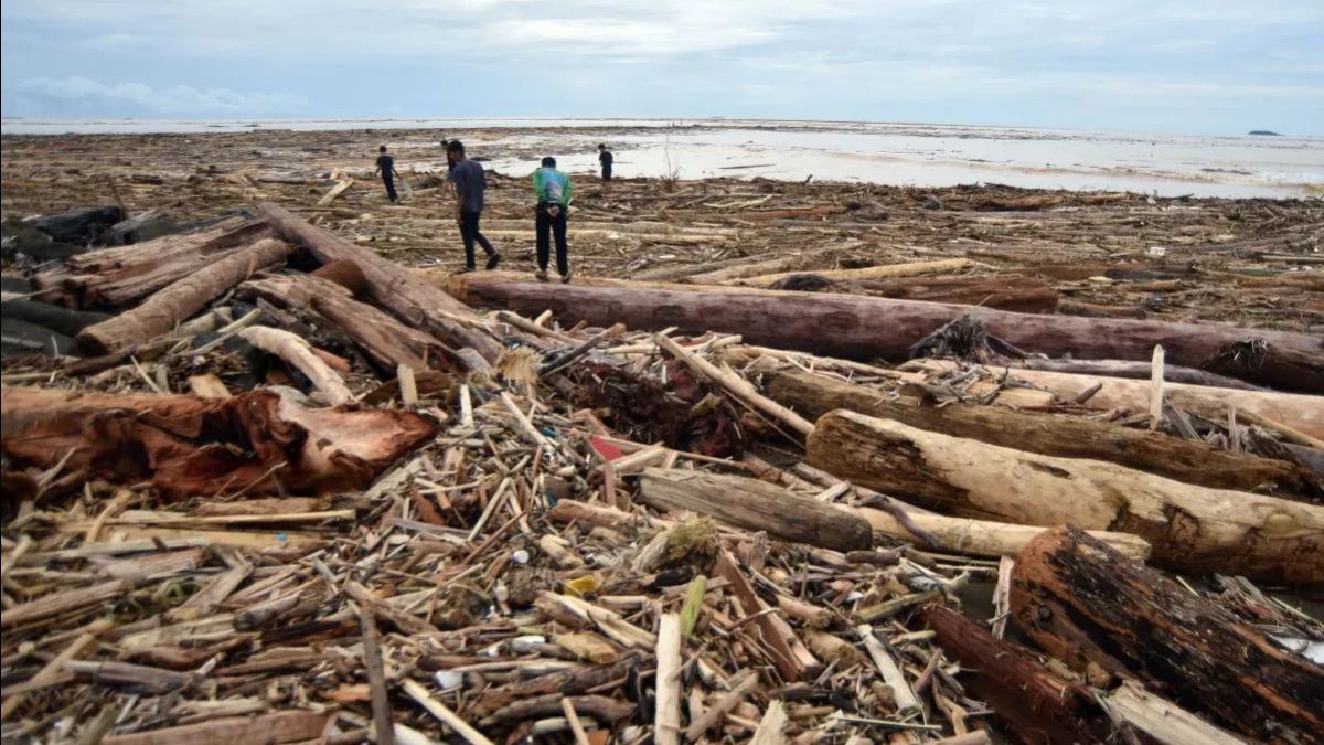 Titiek Suharto Asks Minister Of Forestry Of The King Of July To Find A Company That Cuts Trees: I Don't Want A Moratorium Reason