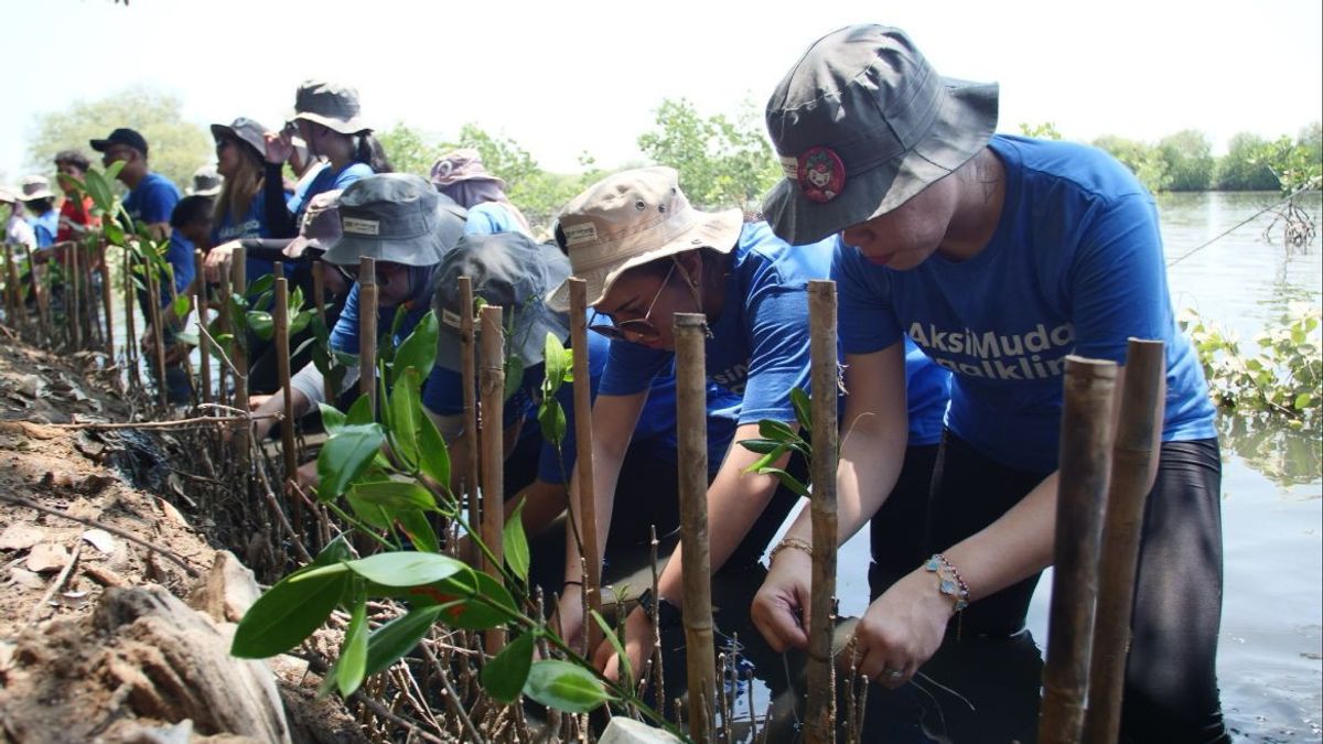 Gandeng AMJI, J Trust Bank engagée pour la lutte contre la crise climatique