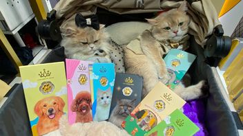 Unique Jewelry Collection With Pet Themes Present In Indonesia