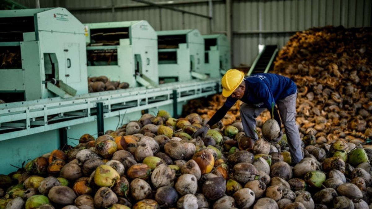 JHL Group Initiates Downstreaming Of Coconuts For The Prosperity Of Farmers