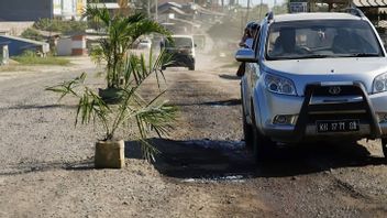 Severely Damaged Until Planted With Bananas, Central Kalimantan Governor Asks Center To Repair National Roads At Banteng Base