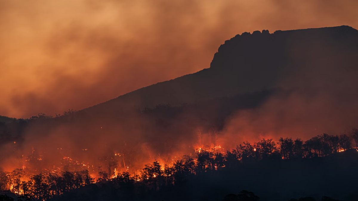 이탈리아 토스카니에서 산불로 인해 주민들이 피신하다
Italian. Un incendio boschivo costringe i residenti in Toscana a fuggire