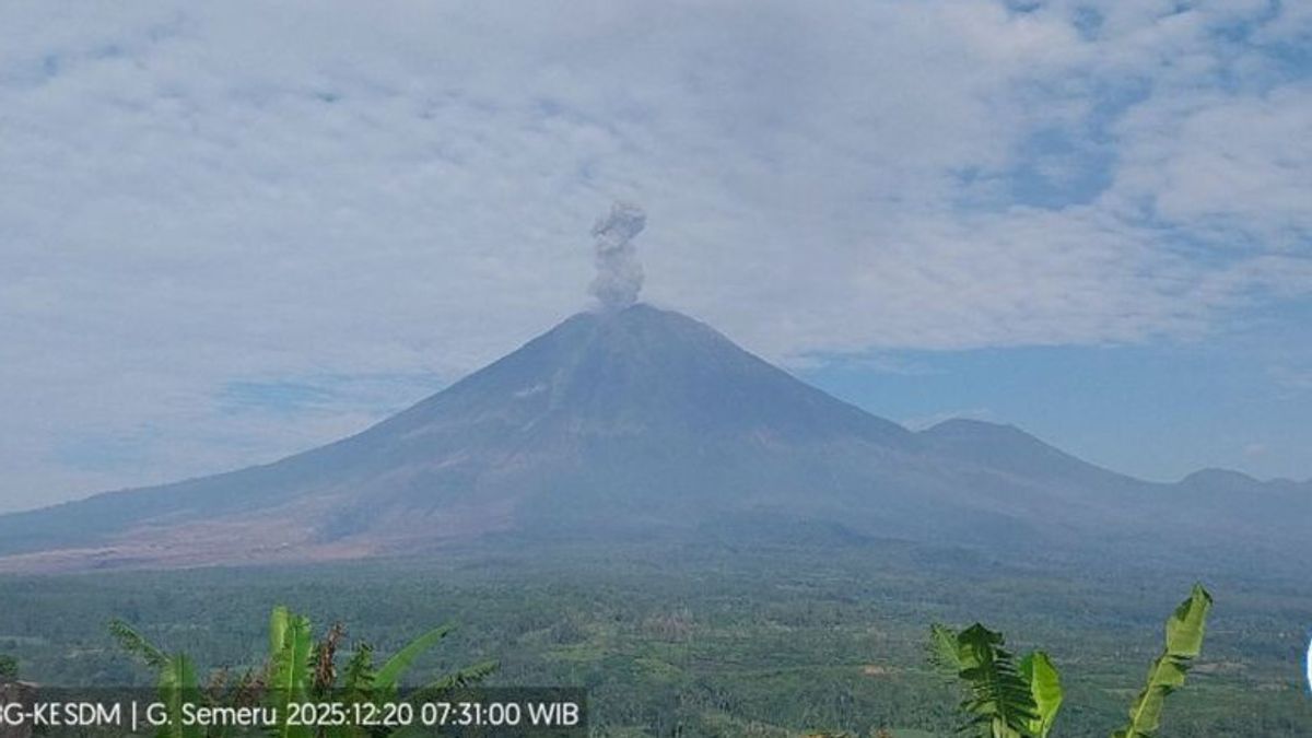 This Morning, Mount Semeru Erupted Again with an Eruption as High as 1,000 Meters