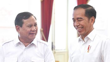 Waketum Gerindra Pastikan Prabowo Siap Temui Megawati Apabila Senggang