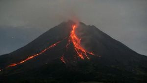 Berita DIY: Gunung Merapi Luncurkan Empat Kali Guguran Lava Sejauh 2.000 Meter