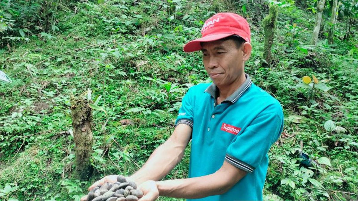 Farmers Of Rejang Lebong Bengkulu Already 'Go Digital', Market Bibit Aren Through Social Media To Have A Order From Malaysia