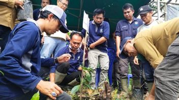 Jejak Bumi Indonesia OKU Sumsel Lakukan Gerakan Penanaman Bibit Pohon Bambu di DAS Ogan