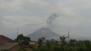 Erupsi Gunung Sinabung: Luncuran Abu Vulkanik Sejauh 1.000 Meter