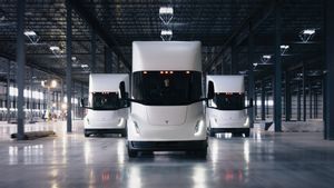 Tesla's Board Of Directors Defends Deathly Elon Musk Amid Investor Concerns