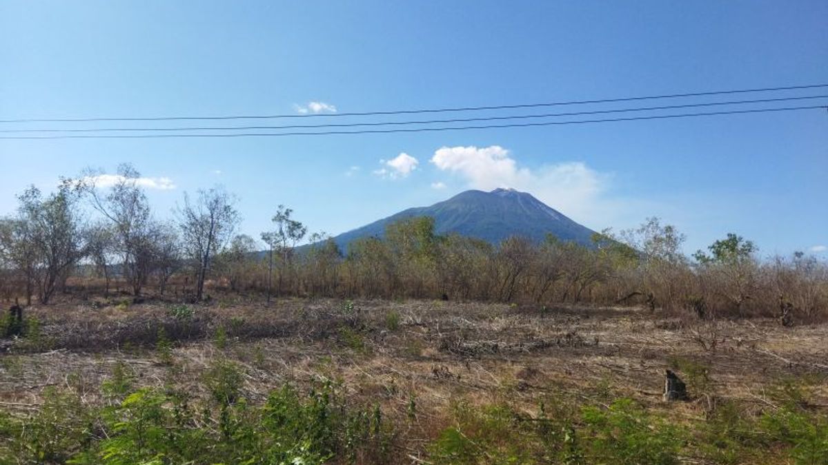 Jangan Sampai Puntung Rokokmu Bakar Hutan, Warga Lembata Ini Musim Kemarau Mohon Waspada