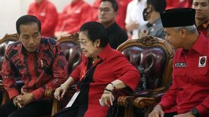 Gibran Bacawapres Prabowo, Hubungan Jokowi dengan Megawati Tetap Baik