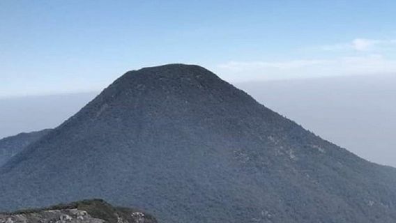 Pendakian ke Gunung Gede Pangrango Ditutup hingga 31 Maret 2024
