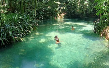 Wisatawan Domestik Mulai Kunjungi Kali Biru Raja Ampat, Sebagian Besar Pecinta Alam