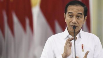 Ada Kementerian 'Nyebrang' Kewenangan, Politikus PDIP Wanti-wanti Jokowi Pantau Manuver Menteri