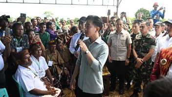 ゴルカルペアボディ!ジブランの弾の問題は不合理と呼ばれています