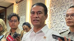 Celios Anggap Rangkap Jabatan Mentan Amran jadi Kepala Badan Pangan Langgar UU