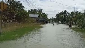 Ratusan Rumah Warga di Nagan Raya Aceh Terendam Banjir
