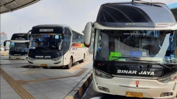Korlantas Reminds Bus Drivers Not To Use Klakson Telolet Basuri