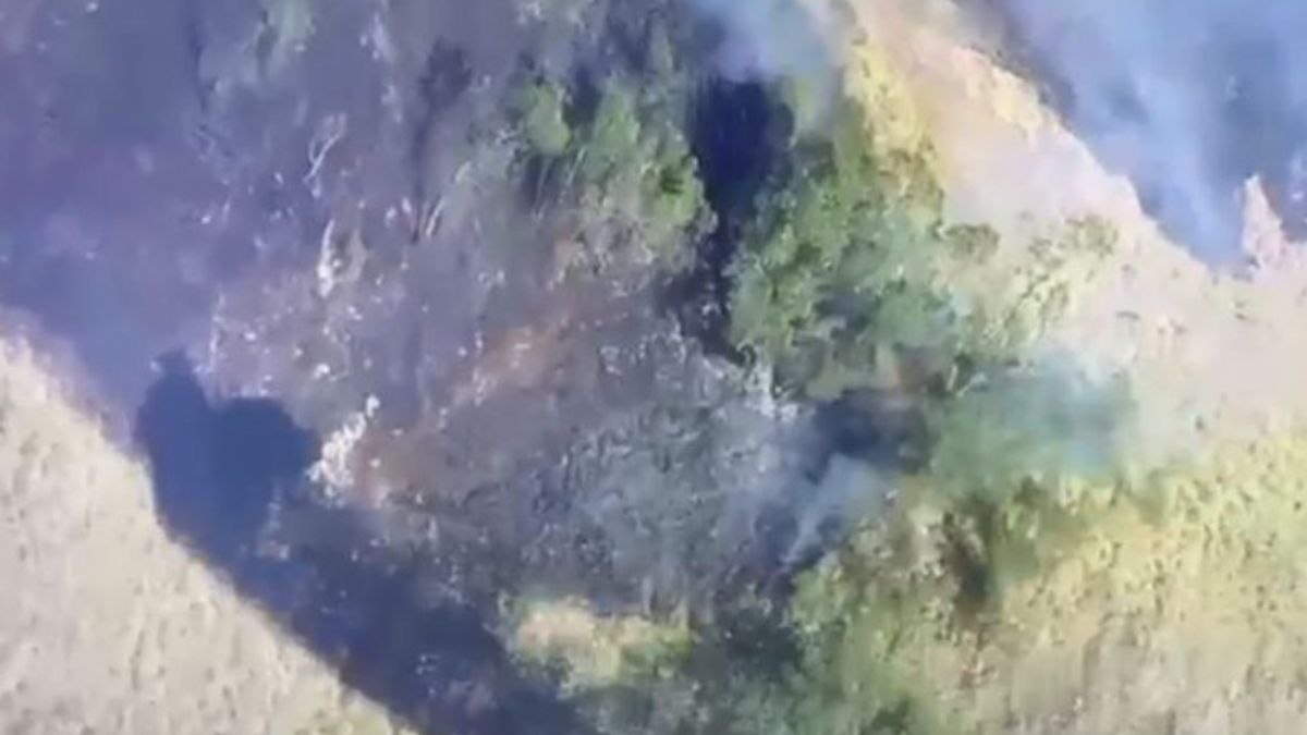 ロンボク島のリンジャニ山の森林地帯が焼失