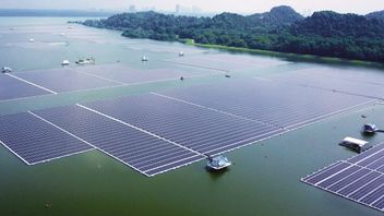 新加坡推出世界上最大的太阳能发电厂，有多宽？