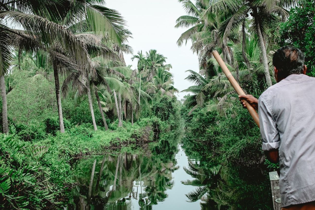 Greenpeace Considers The Work Creation Bill A Threat To The Future Of The Environment