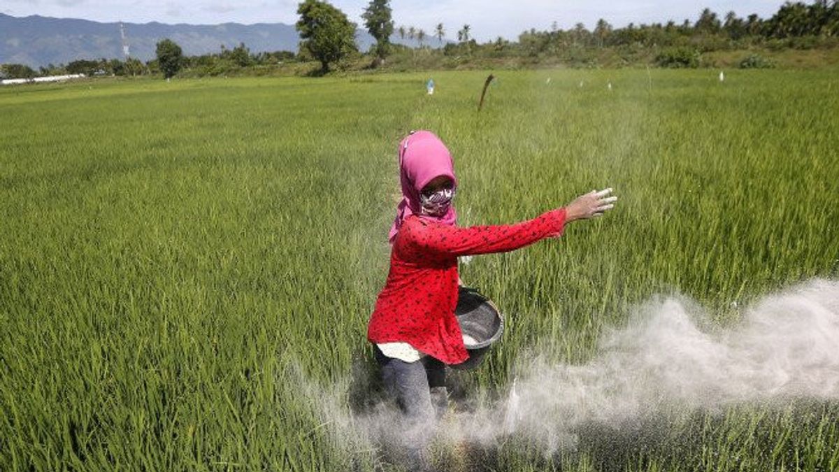 Pupuk Indonesia Permudah Petani Melalui Aplikasi Rekan