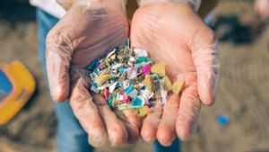 Mikroplastik Ditemukan di Air Ketuban hingga Urine oleh Peneliti UNAIR, Ini Risiko bagi Kesehatan