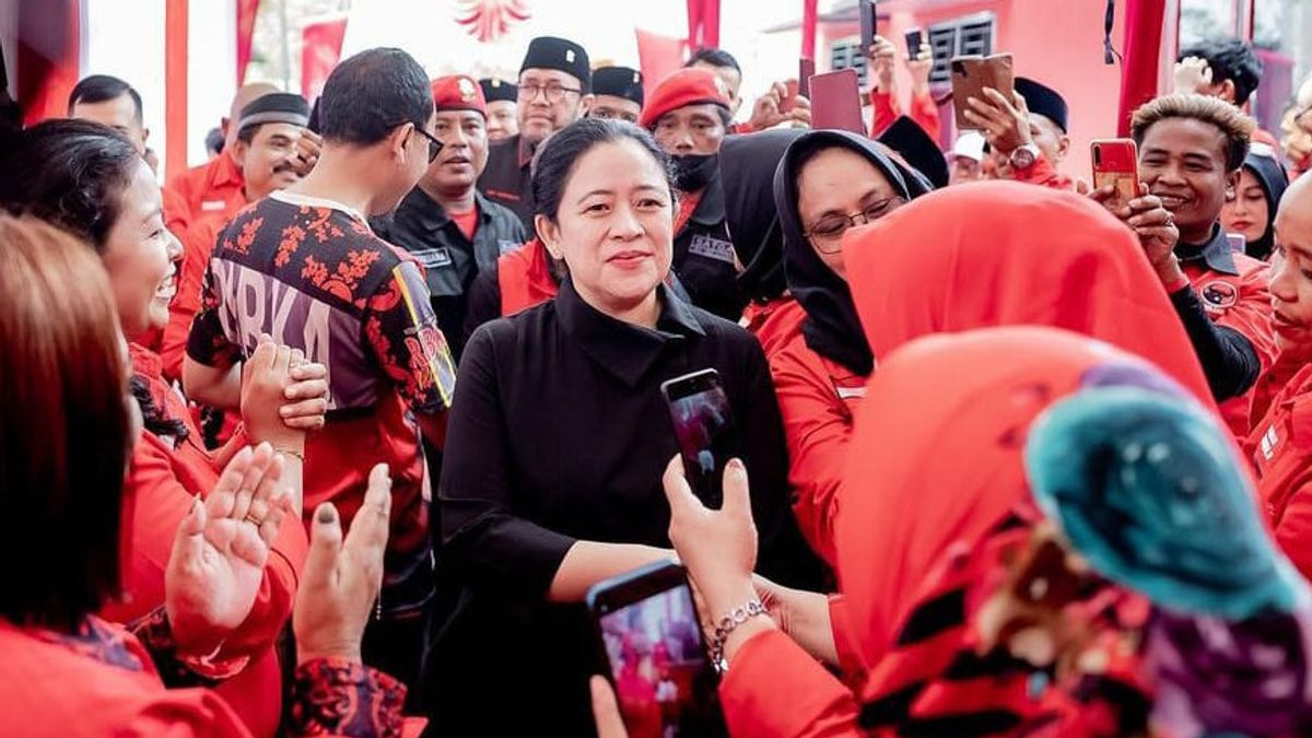  Puan Maharani: Indonesia Darurat KDRT, Penanganan Menajdi Prioritas