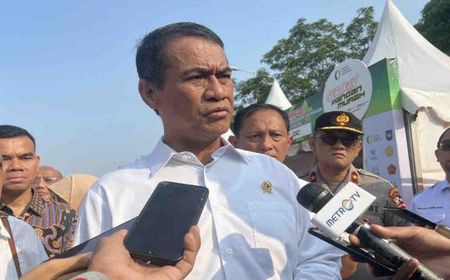 Ada 44,7 Ribu Hektare Lahan Rawa yang Bisa Ditanami Padi di Merauke 