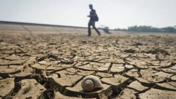 干旱的影响,卡拉旺阿拉米摄政区的8个村庄 清洁水危机