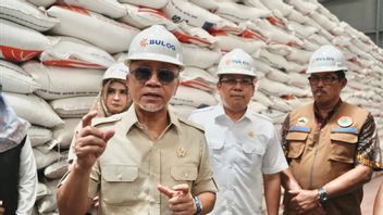 Coordinating Minister Zulhas: Bulog Needs A New Warehouse To Absorb Farmer's Harvesting Products During Grand Panen