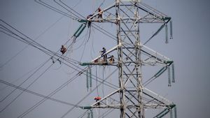 PLN Sebut Cadangan Daya Listrik Selama KTT G20 Bali Capai 442 MW