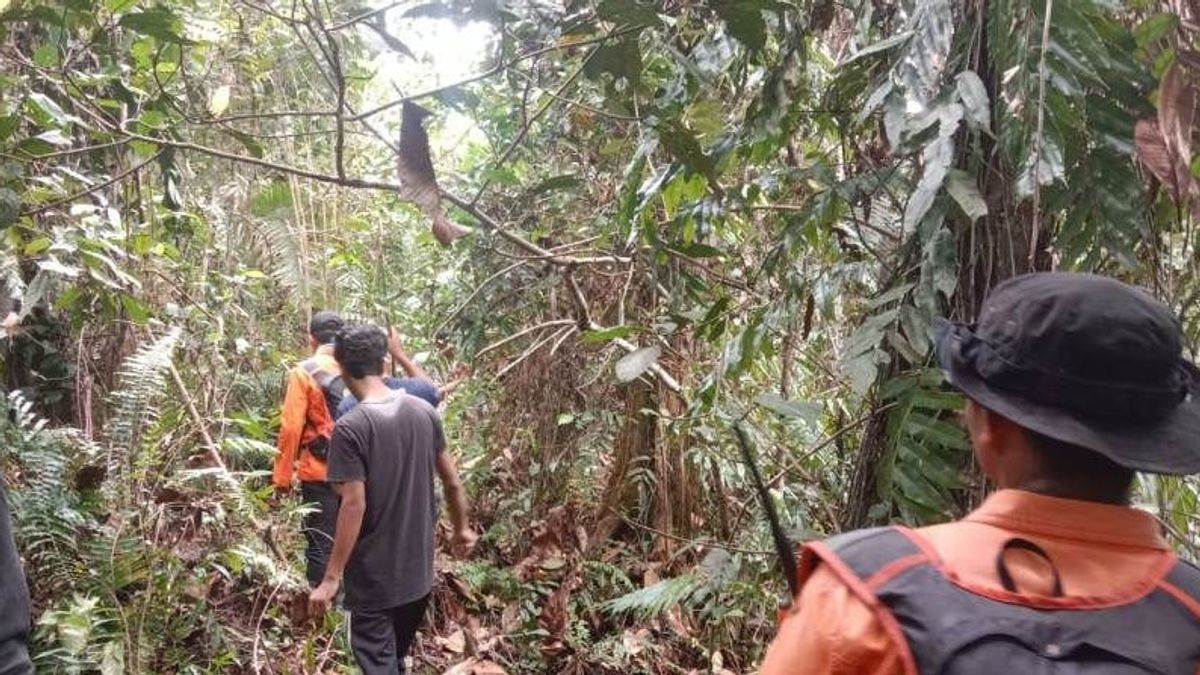 After Traditional Treatment, West Acehnese Disappear In The Forest
