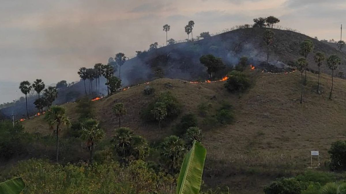 BMKG Reminds NTT Residents About Potential Forest Fires In The Dry Season
