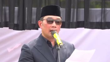 Ridwan Kamil Remembers Eril's Departure: 14 Very Long Days, We Asked God, Why It Had To Take This Long