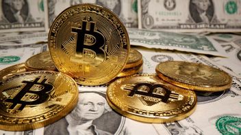 Menurut Ahli: Bitcoin Tidak Lebih Baik dari Sistem Keuangan Zaman Batu