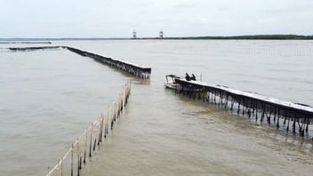 Nelayan Tergusur, Siapa Diuntungkan Pagar Laut?