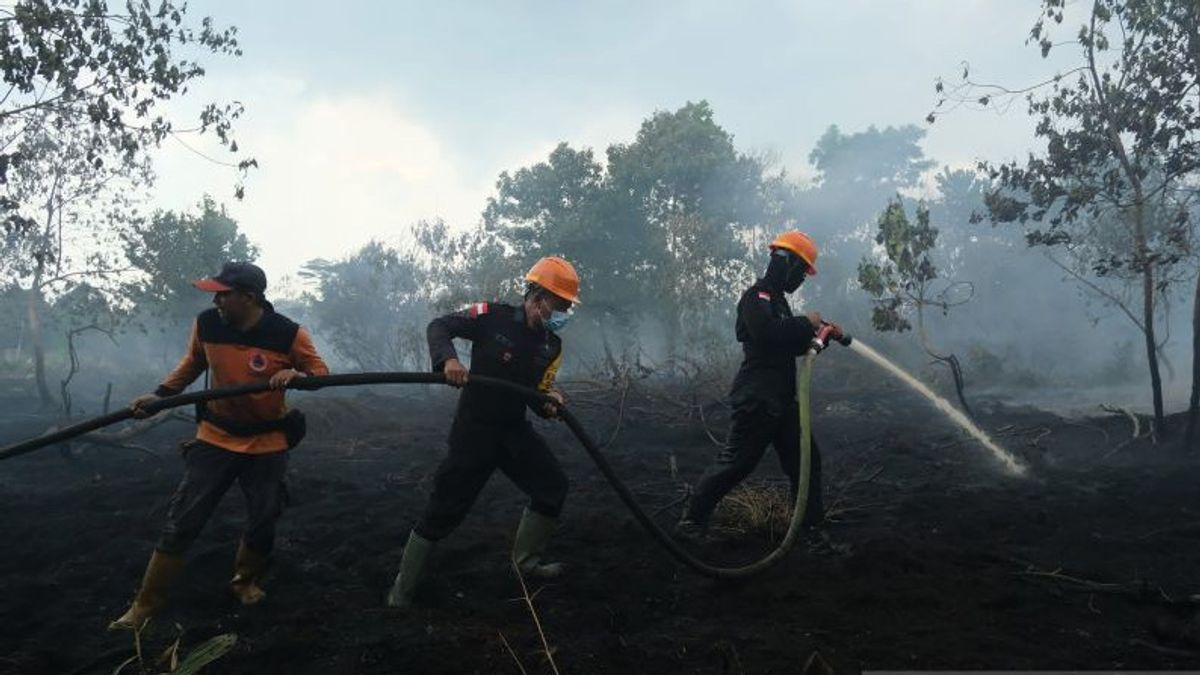 Karhutla à Ketapang Kalbar a brûlé 14,3 hectares de terres minérales