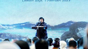 Minister Of Environment And Forestry Calls Indonesia Serious In Handling Climate Change