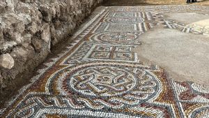 Aula Resepsi dengan Mosaik Langka dari Abad ke-4 Ditemukan di Kota Kuno Hadrianopolis
