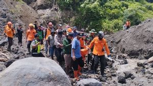 Tim SAR Temukan Satu Lagi Korban Tewas Tebing Longsor di Blitar