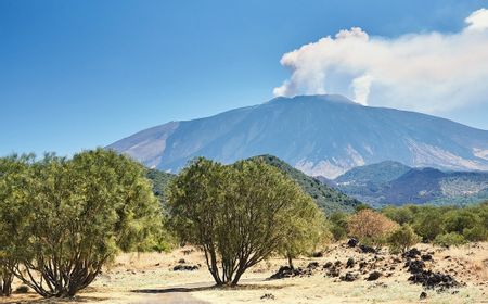 Erupsi Gunung Etna di Italia Meningkat, 42 Penerbangan hingga 15 Ribu Penumpang Terdampak