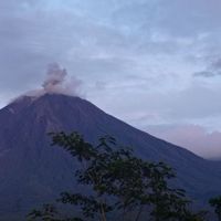 Gunung Semeru Erupsi, Semburkan Asap Setinggi 1.000 Meter