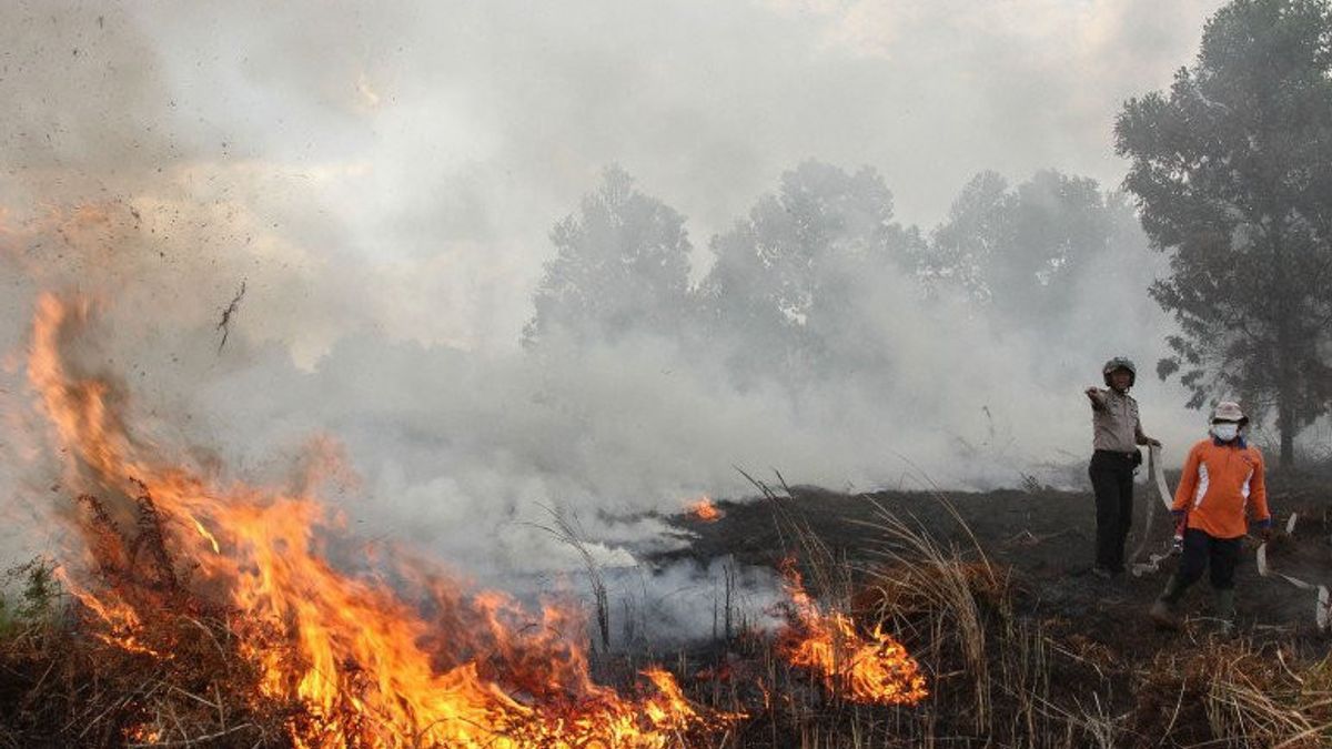 From January-August, Riau Police Have Handled 20 Cases Of Forest Fire