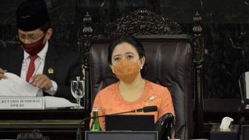 DPR Speaker Puan Maharani Asks Kidnappers Who Abused Children In Jakarta-Bogor To Be Charged With TPKS Law