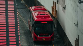 작은 아이와 함께 편안하게 집으로 돌아가십시오 : 여행 중에 종종 나타나는 건강 증상에주의하십시오.