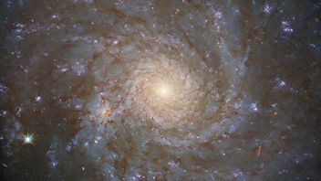 Hubble Telescope Captures Sky's Treasure With Alma's Help