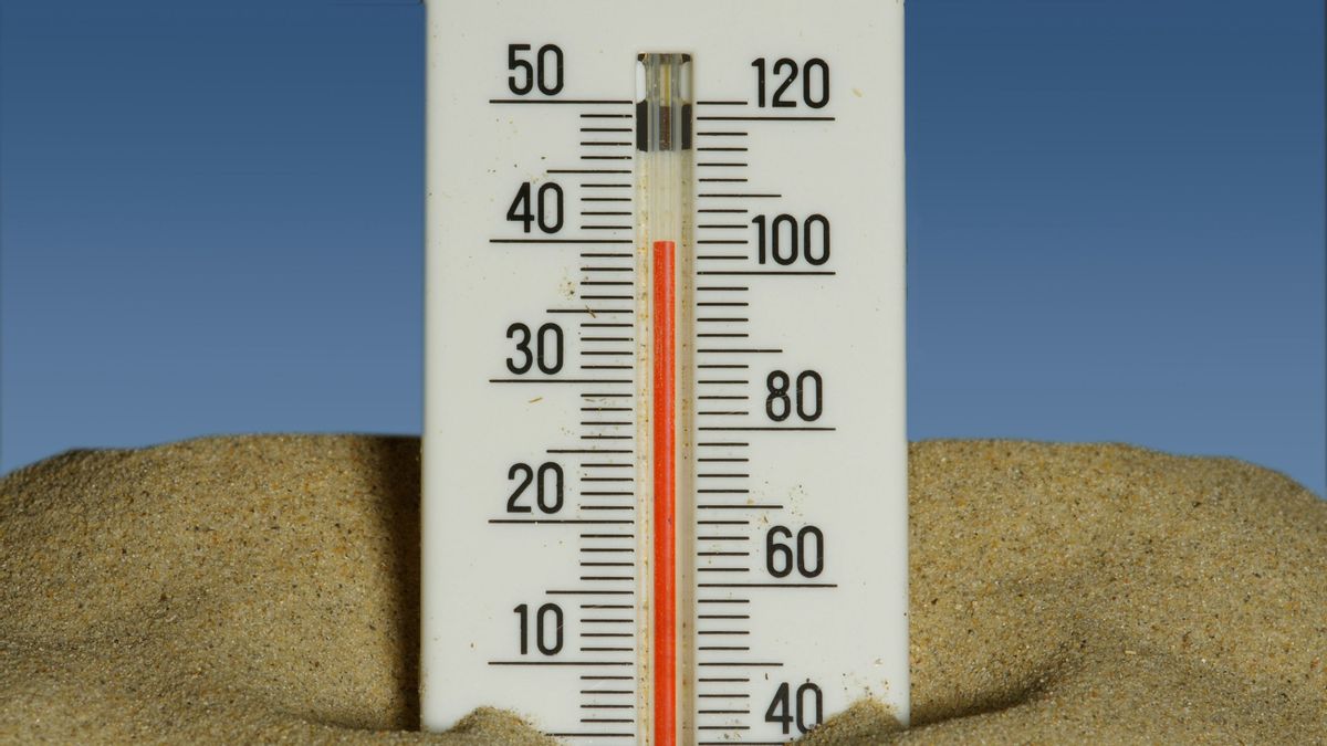Mengenal Apa Itu Excessive Heat, Peringatan dari Google Terkait Cuaca Panas