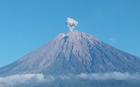 Gunung Semeru Meletus 600 Meter di Atas Puncak