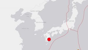 6.6 Magnitude Earthquake Shakes Japan's Kyushu